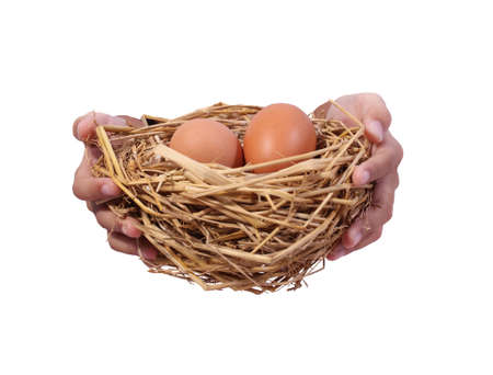 nest with an egg in her hands on white background.の写真素材