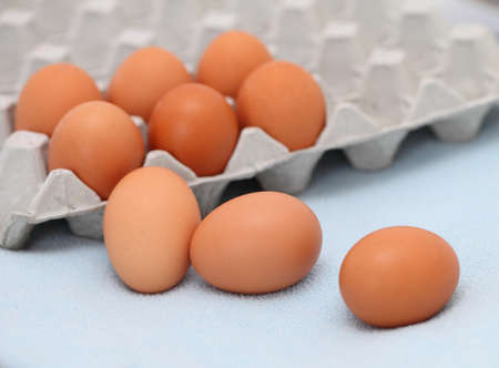Eggs