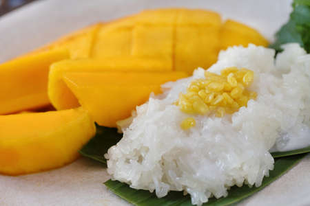 dessert sweet sticky rice with mango coconut milk,Thai Food.の写真素材