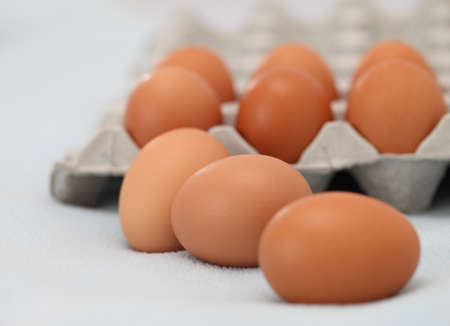 Eggs