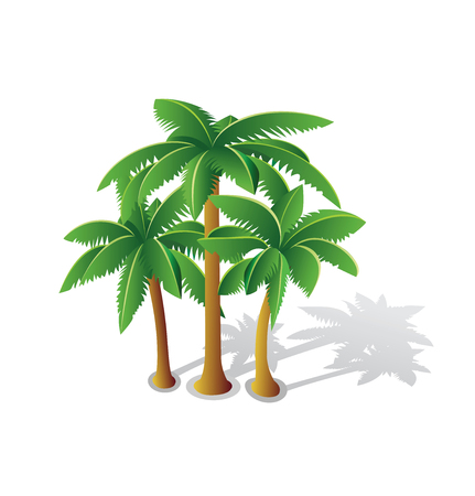 Tropical palms for web design and creative inspiration on whiteのイラスト素材