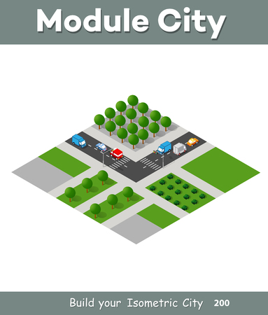 Natural landscape isometric forest with trees and plants, expressway with carsのイラスト素材