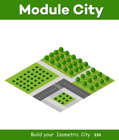 Isometric 3d trees forestのイラスト素材