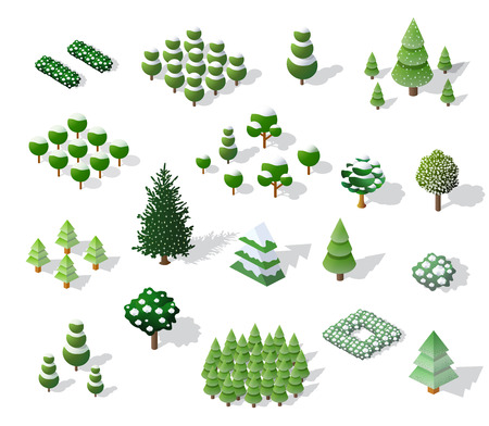Set of Christmass winter trees and firsのイラスト素材