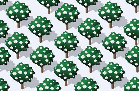 Winter Seamless forest plan pattern map background. Isometric green botanical structure landscape of trees parkのイラスト素材