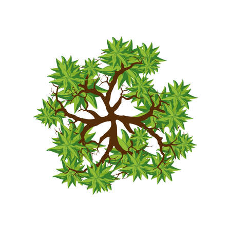 Tree top view. Easy to use in your landscape design projectsのイラスト素材