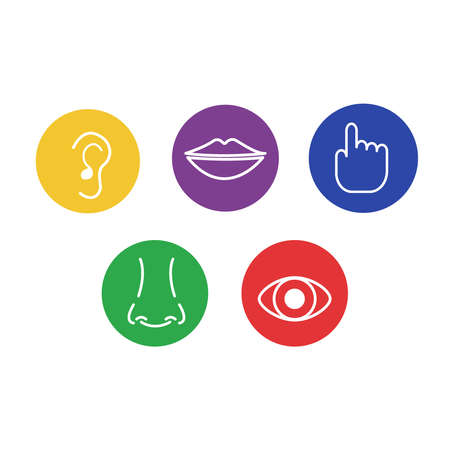 Set of icons of the five human senses: sight, smell, hearing, touch, taste.のイラスト素材