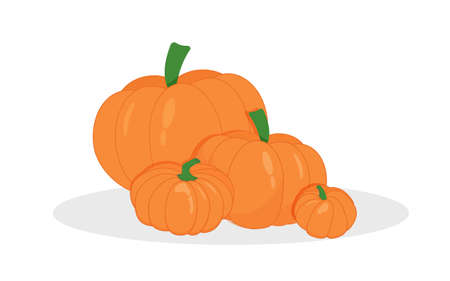 Pumpkin vector set. Simple flat style design. Cool banner for Halloween party or website. illustrationのイラスト素材