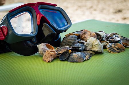 mask scuba dive with sea shells on the sea coast. blue green backgroundの写真素材