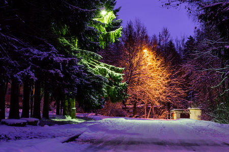 Winter scenery at nightの写真素材