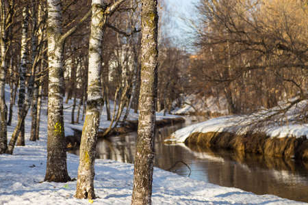 the snow melts in the spring riverの写真素材