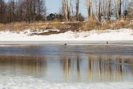 the snow melts in the spring riverの写真素材