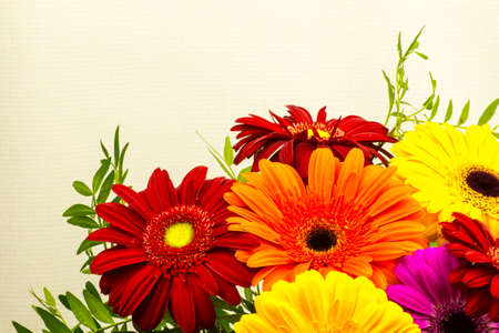 colorful bouquet of gerberas