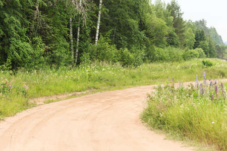 The muddy road through the field covered by flowers to the forest.の写真素材