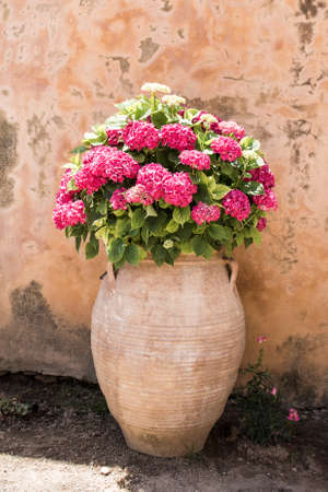 Inner garden monastery of Arkadi, Crete, Greeceの写真素材