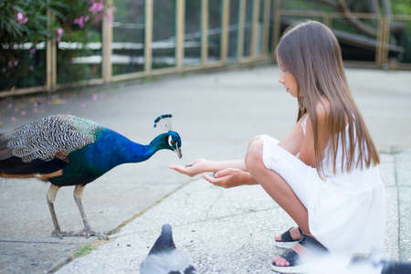 beautiful girl feeds a peacock in the park, cute baby.の写真素材