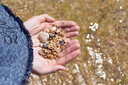 Childs hand holding shells isolated, shells in the background, beach