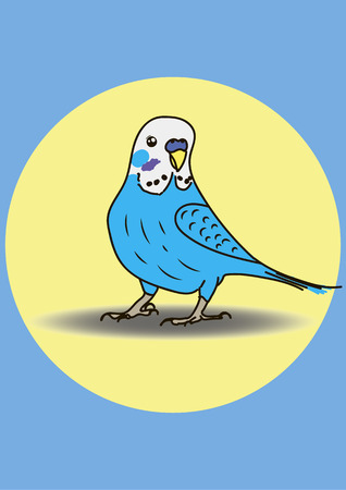 Blue parrot in a yellow background
