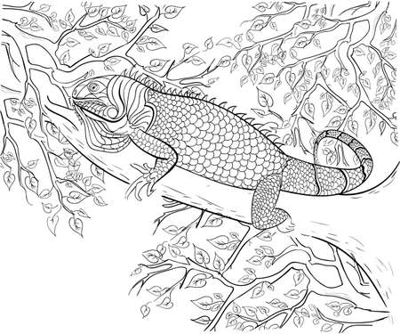 Hand drawn ink pattern. Coloring book for adultのイラスト素材