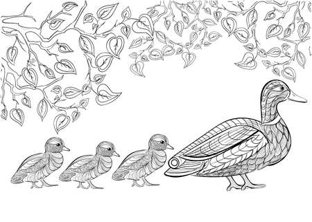 Hand drawn ink pattern. Coloring book for adult.のイラスト素材