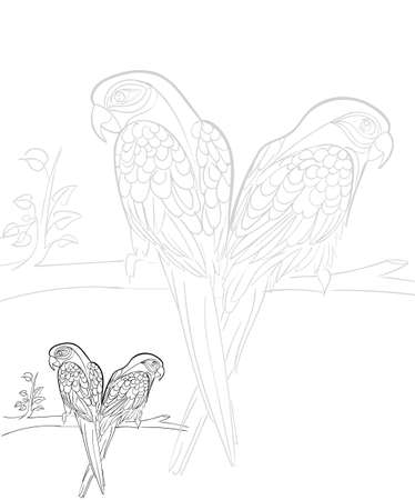 Hand drawn ink pattern. Coloring book for adult.のイラスト素材