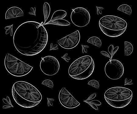 Hand drawn orange on white background. Sketch food vector illustration.のイラスト素材