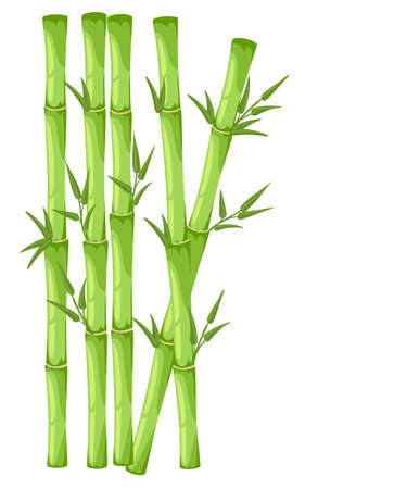 Bamboo with leaf vector illustration. Asian bambu zen plants backgroundのイラスト素材