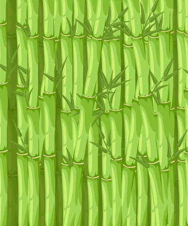 Bamboo with leaf vector illustration. Asian bambu zen plants backgroundのイラスト素材