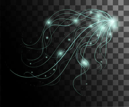 Glow isolated white transparent effect, lens flare, explosion, glitter, line, sun flash, spark and stars. For illustration template art design, banner for Christmas celebrate, magic flash energy ray.のイラスト素材