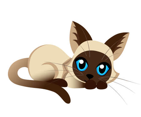 Siamese cat the Lovely kitten with blue eyes fluffy on a white background spotty a pet Cat breeds cute pet animal set vector illustrationのイラスト素材