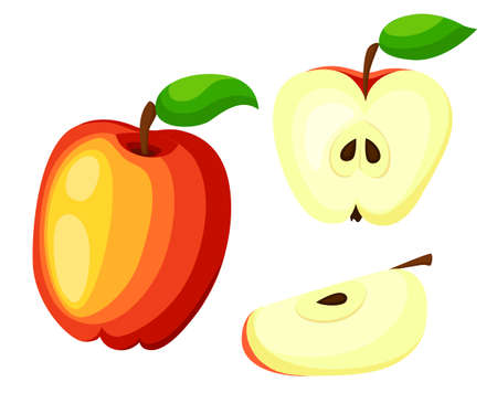 Red Apples with Green Leaves and Apple Slice Vector Illustration. Flat vectorのイラスト素材