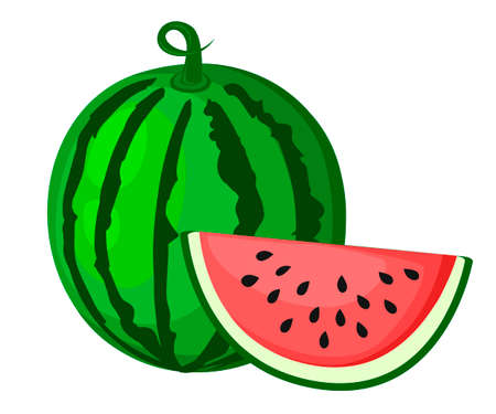 Juicy watermelon summer fruit and a slice of watermelon. Vector illustration on white background. Elements for design. Melon print. Summer market water fruit.のイラスト素材