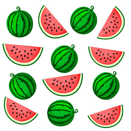 Juicy watermelon summer fruit and a slice of watermelon. Vector illustration on white background....