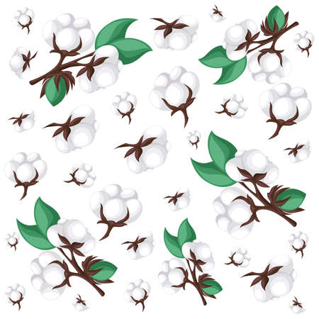 Cotton isolated on the white background. Vector illustration.のイラスト素材
