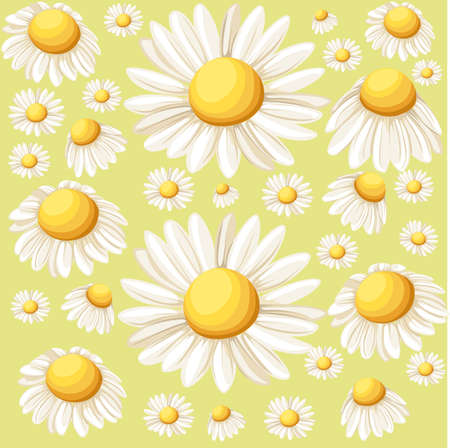 Bouquet realistic daisy, camomile flowers on white background. Vector illustration card camomile tea medical Web site page and mobile app design vector illustration.のイラスト素材