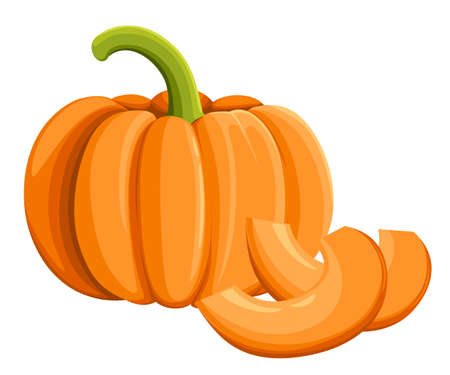 Pumpkin icon, Harvest Thanksgiving vector illustration Isolated on White Flat Design Style.のイラスト素材