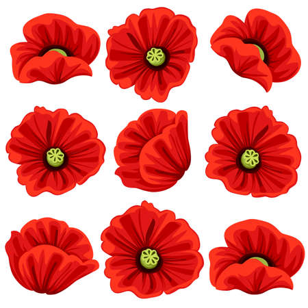 Poppy flowers icons set. Vector isolated botanical symbols of blooming red poppies blossoms. Floral bouquets or springtime flourish flowery bunches design for decor or holiday greetings templateのイラスト素材