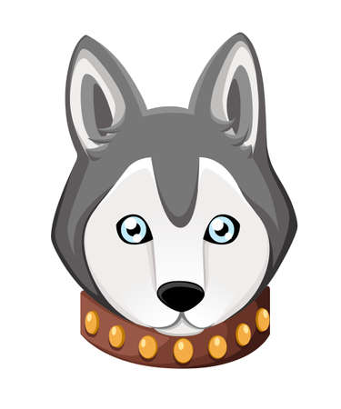 White And Gray Adult Siberian Husky Dog With Blue Eyesのイラスト素材