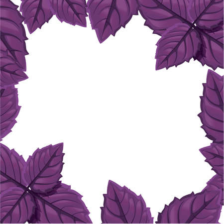 Green basil vector spice herb leaves icon.のイラスト素材