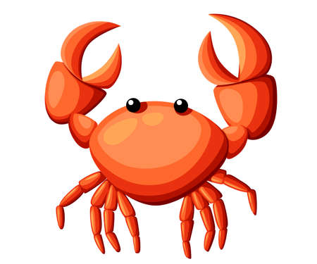 Colorful red crab vector illustration. Sea creature in flat design. Shell crab icon isolated on white background. Water animal with clawsのイラスト素材