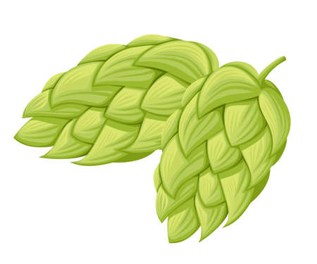 Vector hop cone isolated on white background.Visual graphic icons or logos. Website page and mobile...