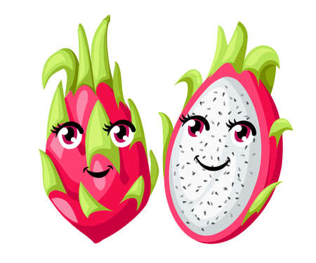 Vector whole and sliced vivid pink dragon fruit isolated on white background. Fruit with eyes. Website page and mobile app design.のイラスト素材