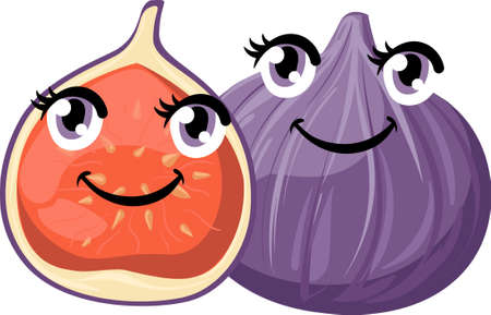 Vector whole and sliced fig fruit isolated on white background. Fruit with eyes. Website page and mobile app design.のイラスト素材