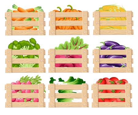 Set of wooden box for vegetables keeping and fruits wood crates front view with fresh food with vector illustration isolated on white background website page and mobile app design.のイラスト素材