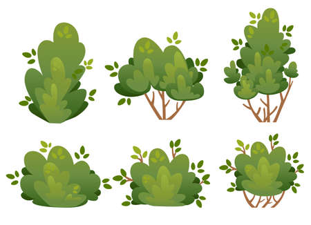 Set of natural bush and garden trees for park cottage and yard vector illustration isolated on white background website page and mobile app design.のイラスト素材