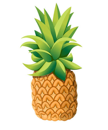 Fresh pineapple tropical fruit organic food. Vector illustration for decorative poster, emblem natural product, farmers market. Website page and mobile app designのイラスト素材