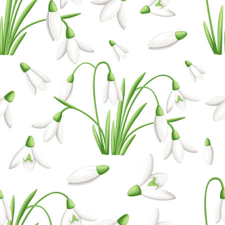 White flowers illustration designのイラスト素材