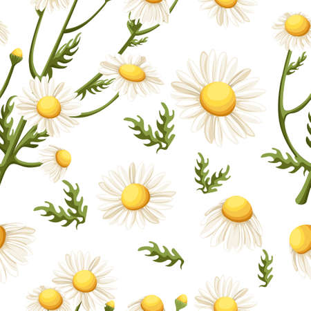 Seamless pattern of Chamomile flowers. Beautiful floral ornament. Vector illustration on white background. Website page and mobile app design.のイラスト素材
