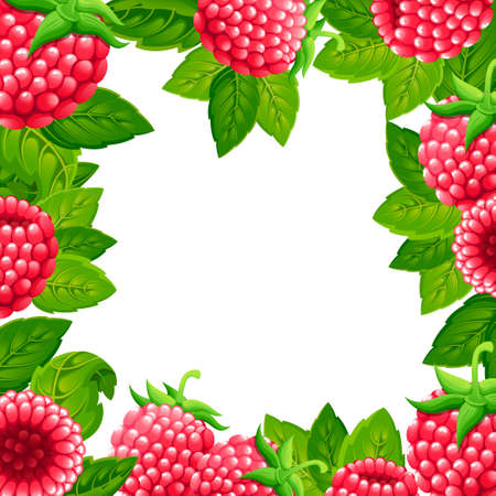 Pattern of raspberry. Vector illustration of raspberry with green leaves. Vector illustration for decorative poster, emblem natural product, farmers market.のイラスト素材