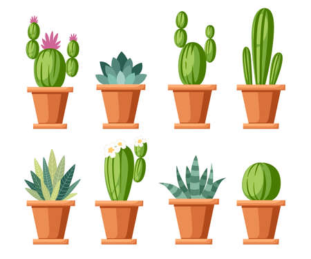 Set of flower and decorative cactus. Home plants cactus in pots and with flowers.のイラスト素材